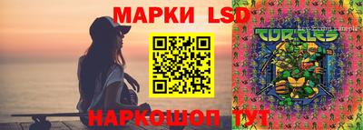 гашик Лесосибирск